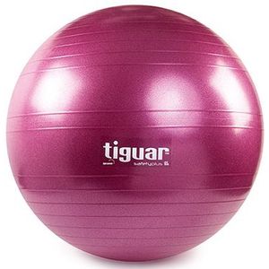 Tiguar gymnastiekbal Safety Plus