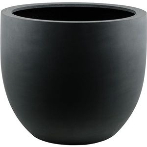 Argento Egg Zwart