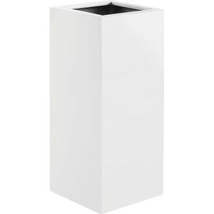 Argento High Cube Wit