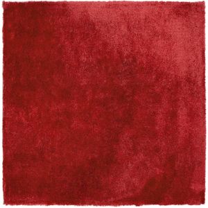 EVREN - Shaggy vloerkleed - Rood - 200 x 200 cm - Polyester