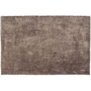 EVREN - Shaggy Vloerkleed - Bruin - 160 X 230 cm - Polyester