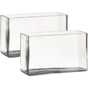 Set van 2x Stuks Transparante Rechthoek Accubak Vaas/Vazen van Glas 25 X 10 X 15 cm