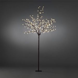 Konstsmide led lichttak - 250cm - 250 lampjes