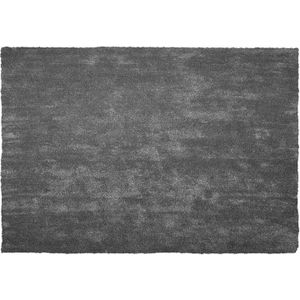 DEMRE - Shaggy vloerkleed - Donkergrijs - 160 x 230 cm - Polyester