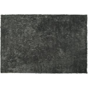 EVREN - Shaggy vloerkleed - Donkergrijs - 200 x 300 cm - Polyester