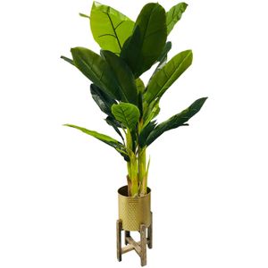 HEM Kunst Palm - Kunst Bananenplant - Bananen Kunstplant 165 cm - Kunstplant voor binnen - Grote Kunstplant