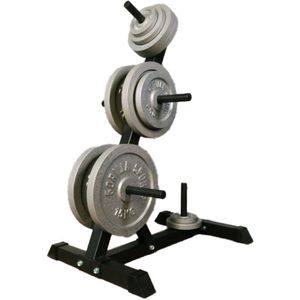 Gorilla Sports Standaard met Gietijzeren Gewichten - 77,5 kg - 13 Schijven - Houder