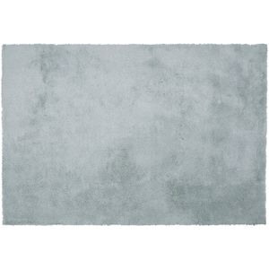 EVREN - Shaggy vloerkleed - Groen - 160 x 230 cm - Polyester