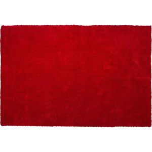 DEMRE - Shaggy vloerkleed - Rood - 160 x 230 cm - Polyester