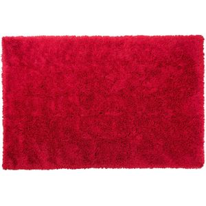 CIDE - Shaggy vloerkleed - Rood - 200 x 300 cm - Polyester