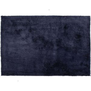EVREN - Shaggy vloerkleed - Blauw - 160 x 230 cm - Polyester