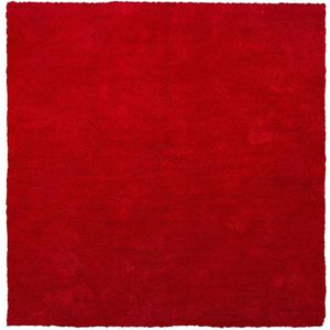 DEMRE - Shaggy vloerkleed - Rood - 200 x 200 cm - Polyester
