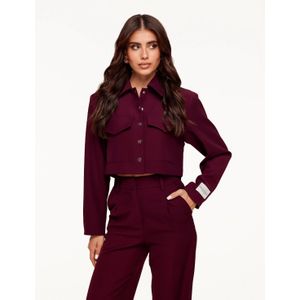 Aubergine Studio Cropped - Jasje