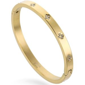 Gouden Bangle Details - Armband