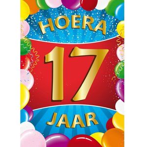 17 jaar verjaardag versiering poster - 59 x 84 cm - leeftijd feestartikelen - deurposter - raamposter