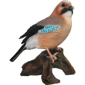Dierenbeeldje vlaamse vogeltje vogel 16 cm polystone kopen | Lage prijs | beslist.nl