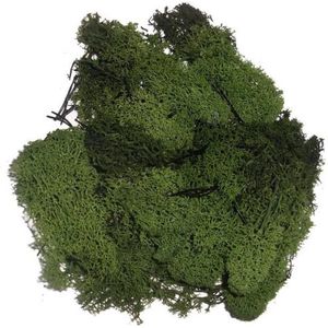 Decoratief Mos - Rood/Lavendel/Donkergroen, 30gr # Berka 5006