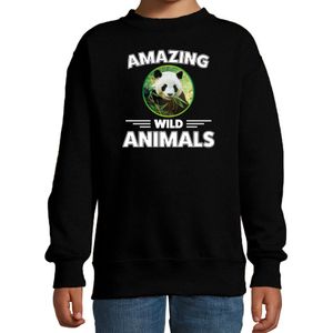 Sweater pandaberen amazing wild animals / dieren trui zwart voor kinderen