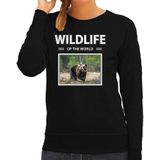 Beer sweater / trui met dieren foto wildlife of the world zwart voor dames