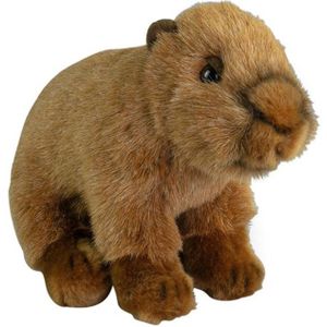 Knuffeldier Capybara - zachte pluche stof - premium kwaliteit knuffels - bruin - 20 cm