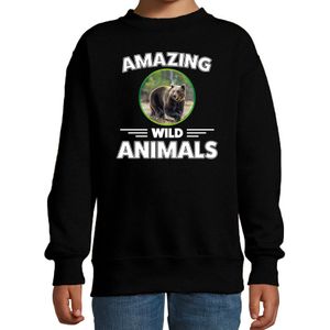 Sweater beren amazing wild animals / dieren trui zwart voor kinderen