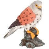 Dierenbeeld torenvalk vogel 11 cm woondecoratie