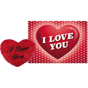 Pluche knuffel kussen rood I Love You 60 cm met Love/hartjes wenskaart