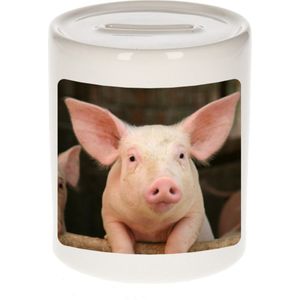 Dieren foto spaarpot varken 9 cm - varkens spaarpotten jongens en meisjes