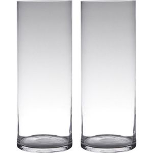Set van 2x stuks transparante home-basics cylinder vorm vaas/vazen van glas 50 x 19 cm