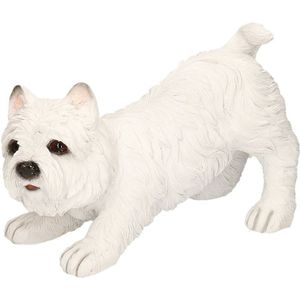 Dierenbeeld westie terrier hond 18 cm