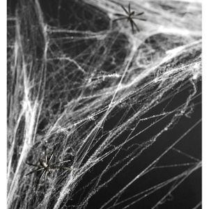 Witte spinnenweb decoratie met 2 spinnen