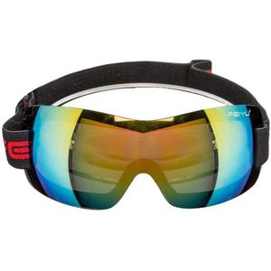 Kansen Wardianzaak knecht Apres ski bril voor volwassenen (cadeaus & gadgets) | € 15 bij  Fun-en-feest.nl | beslist.nl