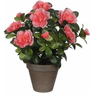 Groene Azalea kunstplant perzikkleurige bloemen 27 cm in pot