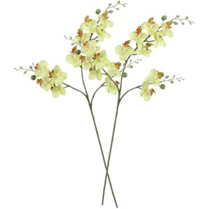 Kunstbloem Orchidee tak - 2x - lichtgeel - 75 cm - Kunst zijdebloemen
