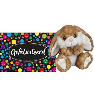 Pluche knuffel cadeau Konijn 18 cm met A5-size Gefeliciteerd wenskaart