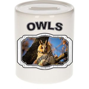 Dieren ransuil spaarpot - owls/ uilen spaarpotten kinderen 9 cm