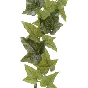 Bellatio flowers & plants Planten slinger klimop - Hedera Helix - groen - 180 cm - kunstplant