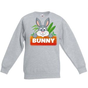 Sweater grijs voor kinderen met Bunny het konijn