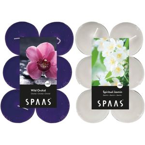 Candles by Spaas geurkaarsen - 24x stuks in 2 geuren Jasmin en Wild Orchid