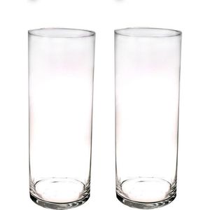 bedrijf Vooruit een miljard Hoge cilinder vaas-vazen van glas 50 x 15 cm - online kopen | Lage prijs |  beslist.nl