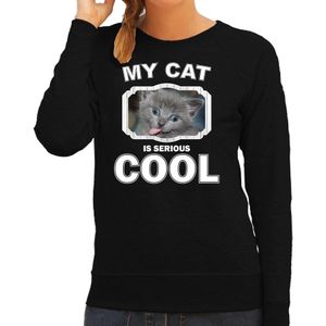 Grijze kat katten sweater / trui my cat is serious cool zwart voor dames
