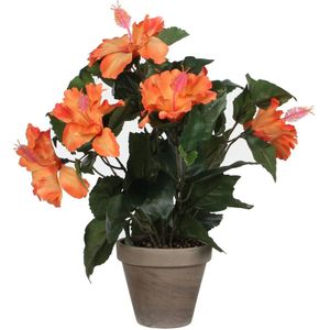 Hibiscus kunstplant oranje in grijze pot H40 x D30 cm