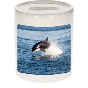 Dieren foto spaarpot orka 9 cm - orka vissen spaarpotten jongens en meisjes