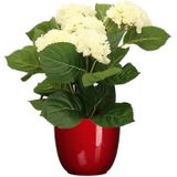 Hortensia kunstplant/kunstbloemen 36 cm - wit - in pot rood glans