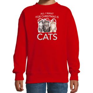 Kitten Kerst sweater / outfit All I want for Christmas is cats rood voor kinderen