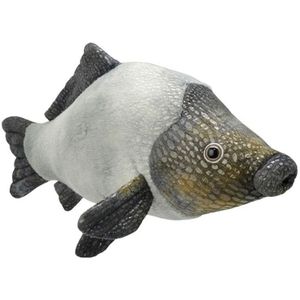 Pluche grijze karper vissen knuffel 32 cm - Karpers vissen knuffels - Speelgoed voor kinderen