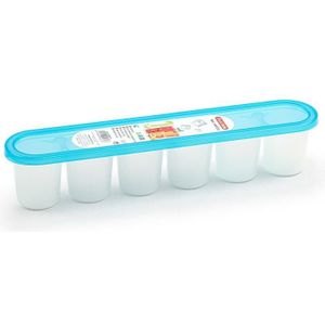 Forte Plastics Grote ijsblokjes/ijsklontjes vormen - met deksel - ijsblauw - 30 x 6 cm - XXL