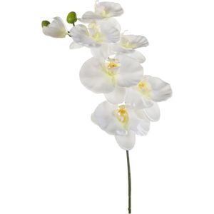 Emerald Kunstbloemen Phalaenopsis Orchidee Wit 80 cm 416980