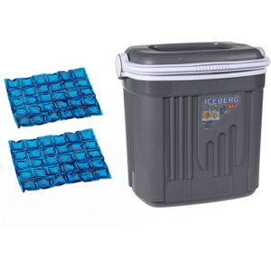 Voordelige flexibele grijze koelbox 20 liter met 2x flexibele koelelementen