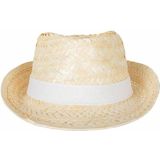 Verkleed hoedje voor Tropical Hawaii Beach party - 2x - Stro hoed - volwassenen - Carnaval